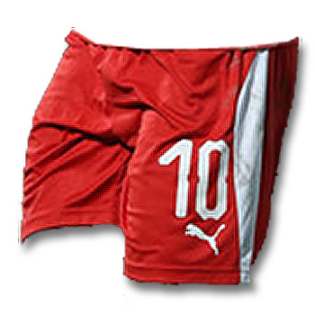 Puma Serbia home shorts for World Cup 2018 with print