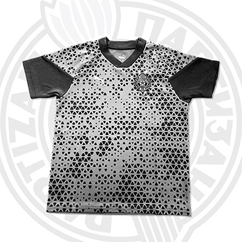 Puma dečija siva majica za trening FK Partizan 6011
